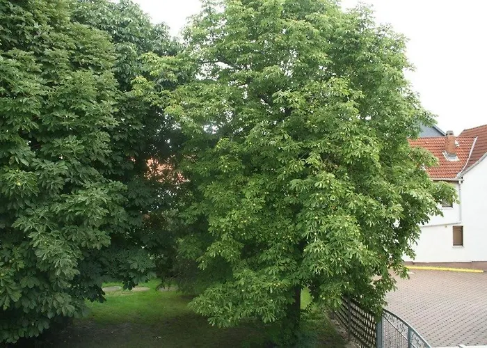 Pension Zur Krone Eisenach